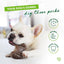 Benebone Puppy Pack Wishbone Bacontiny