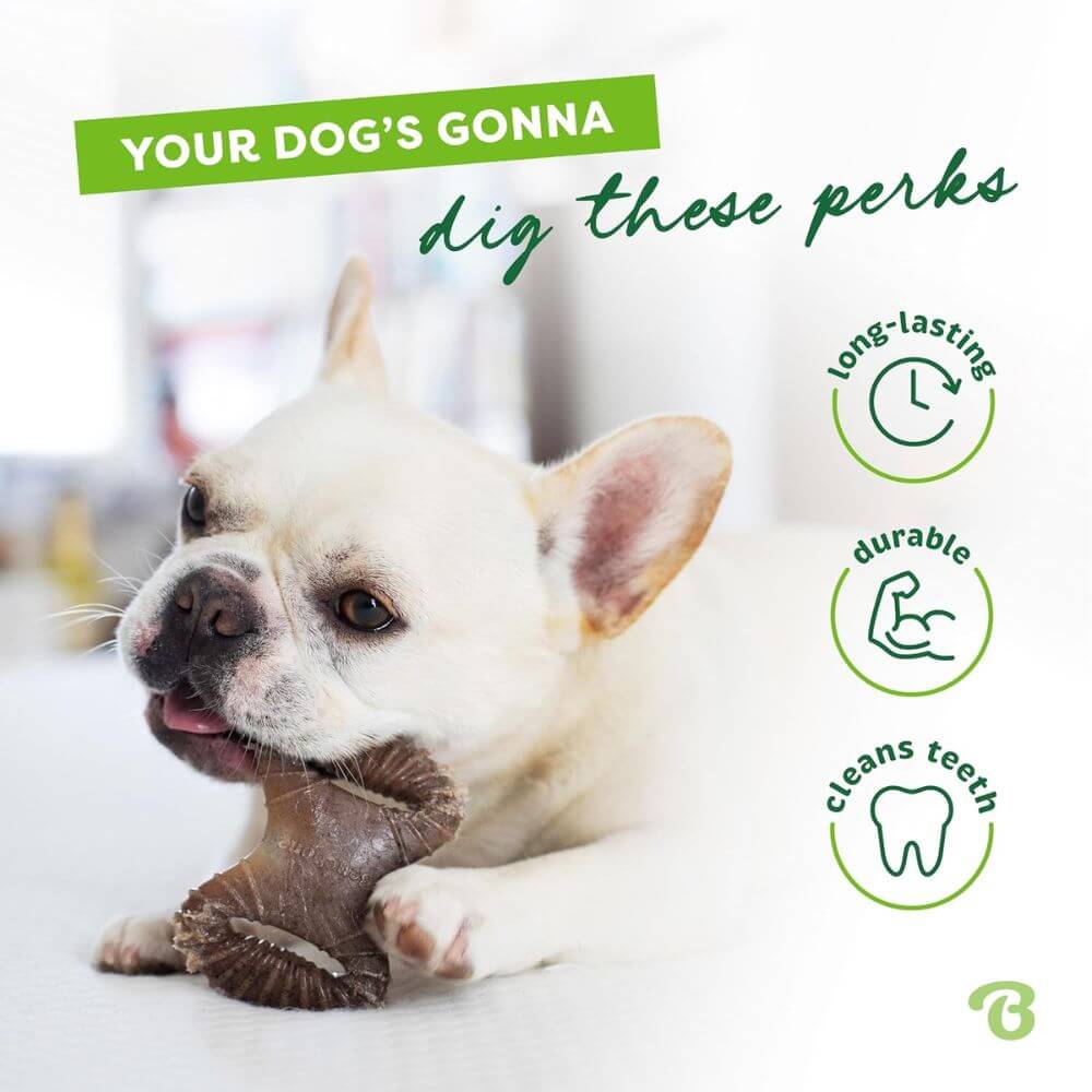 Benebone Puppy Pack Wishbone Bacontiny