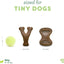 Benebone Puppy Pack Wishbone Bacontiny