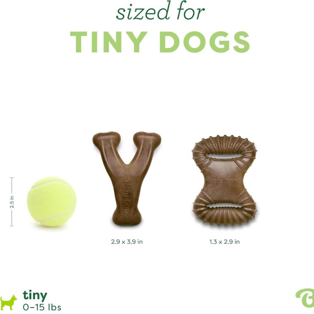 Benebone Puppy Pack Wishbone Bacontiny