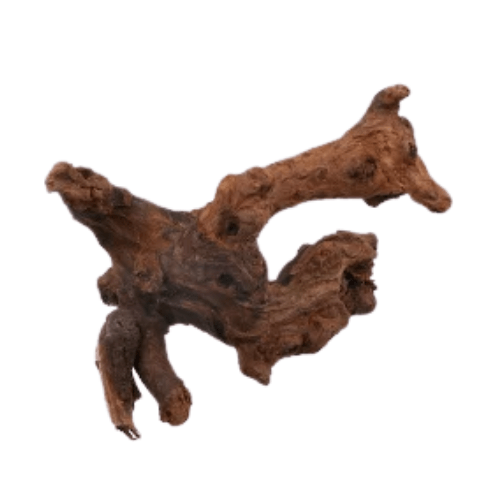 Betta Driftwood