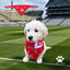 Louth GAA Dog Bandana County Football Wear for Dogs