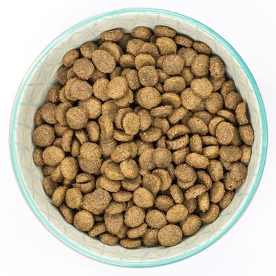 Burns Toy & Small Breed Original | Holistic Gluten Free Dry Dog Food | Senior + | Chicken & Brown Rice