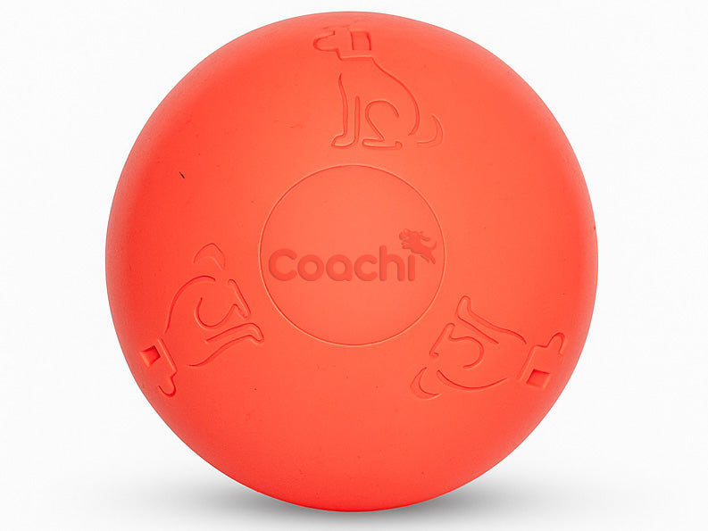 A bright orange-red hard dog toy ball with embossed dog silhouettes and the brand name 'Coach' in the center, shown on a clean white background.