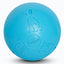 A bright blue Coachi dog toy ball featuring embossed dog poses and the Coachi logo, shown on a clean white background.