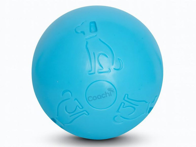 A bright blue Coachi dog toy ball featuring embossed dog poses and the Coachi logo, shown on a clean white background.