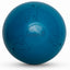 A blue dog training ball with embossed dog and handler icons and the brand name 'coachi' in the center, shown on a white background.