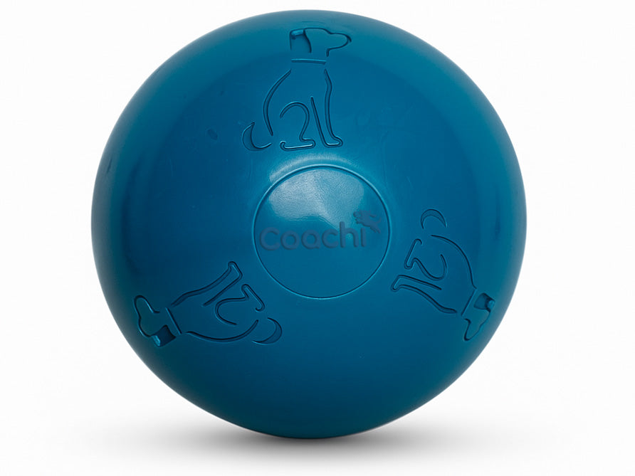 A blue dog training ball with embossed dog and handler icons and the brand name 'coachi' in the center, shown on a white background.