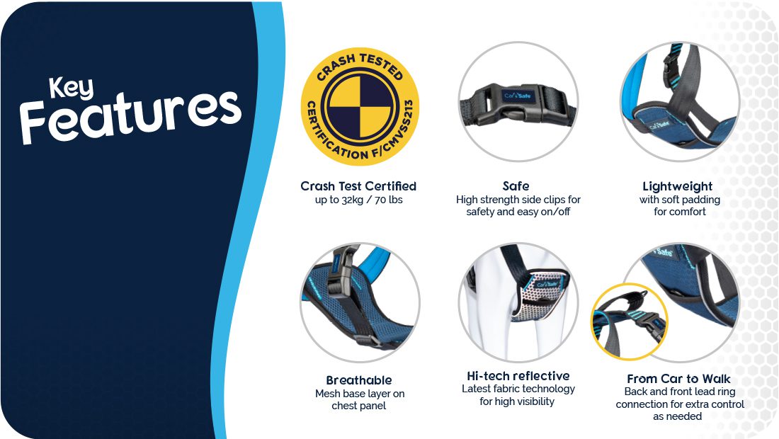 CarSafe Crash Tested Dog Harness | In-Car Safety & Walking Harness by Company of Animals