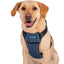 CarSafe Crash Tested Dog Harness | In-Car Safety & Walking Harness by Company of Animals