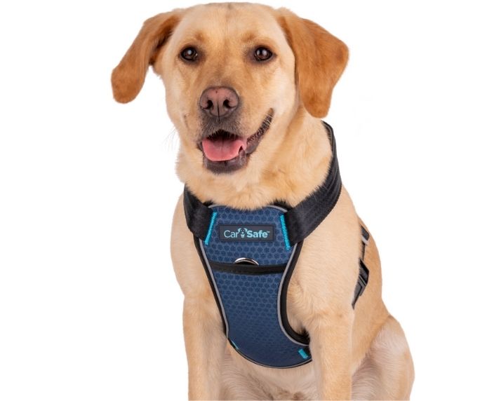 CarSafe Crash Tested Dog Harness | In-Car Safety & Walking Harness by Company of Animals