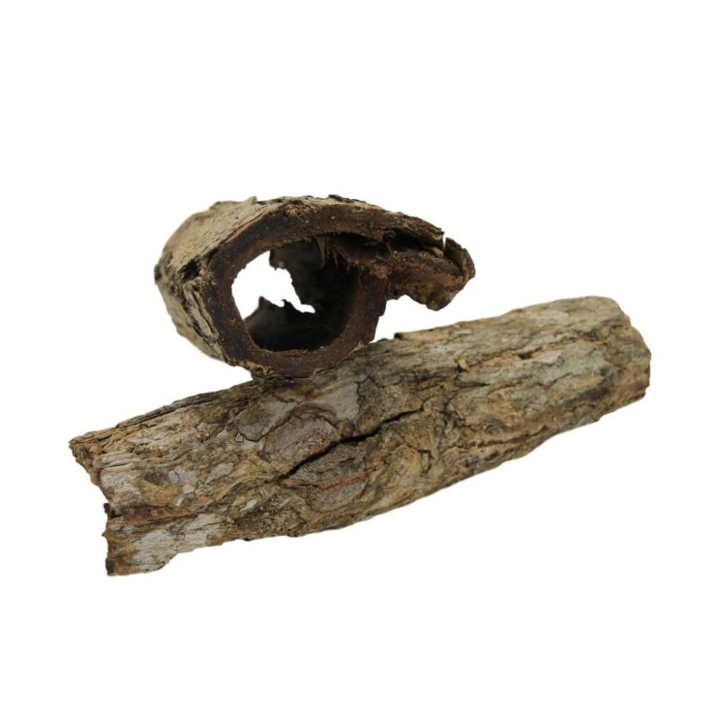 Catappa Bark Tube
