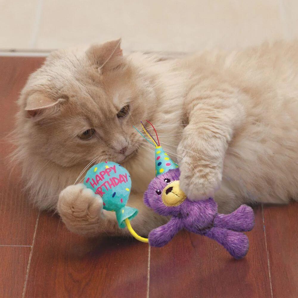 KONG Cat Occasions Birthday Teddy Cat Toy