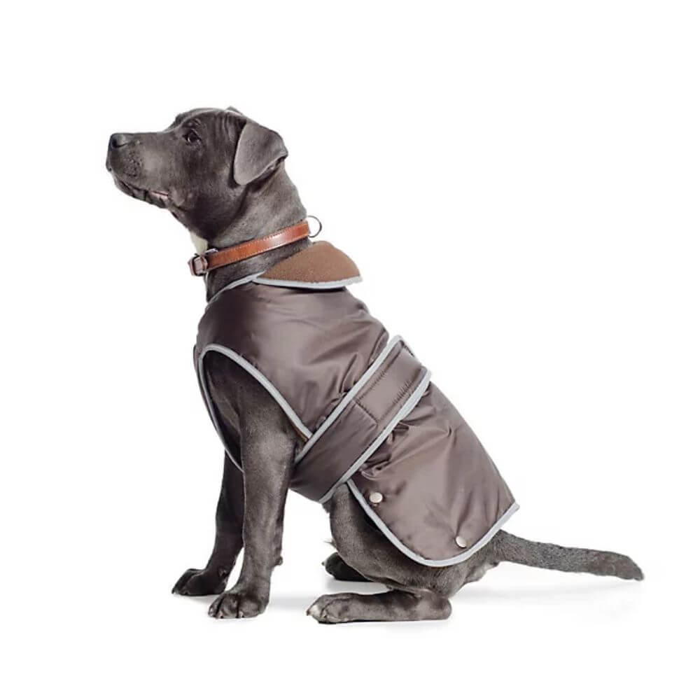 Stormguard With Chest Protector, Chocolate, XL