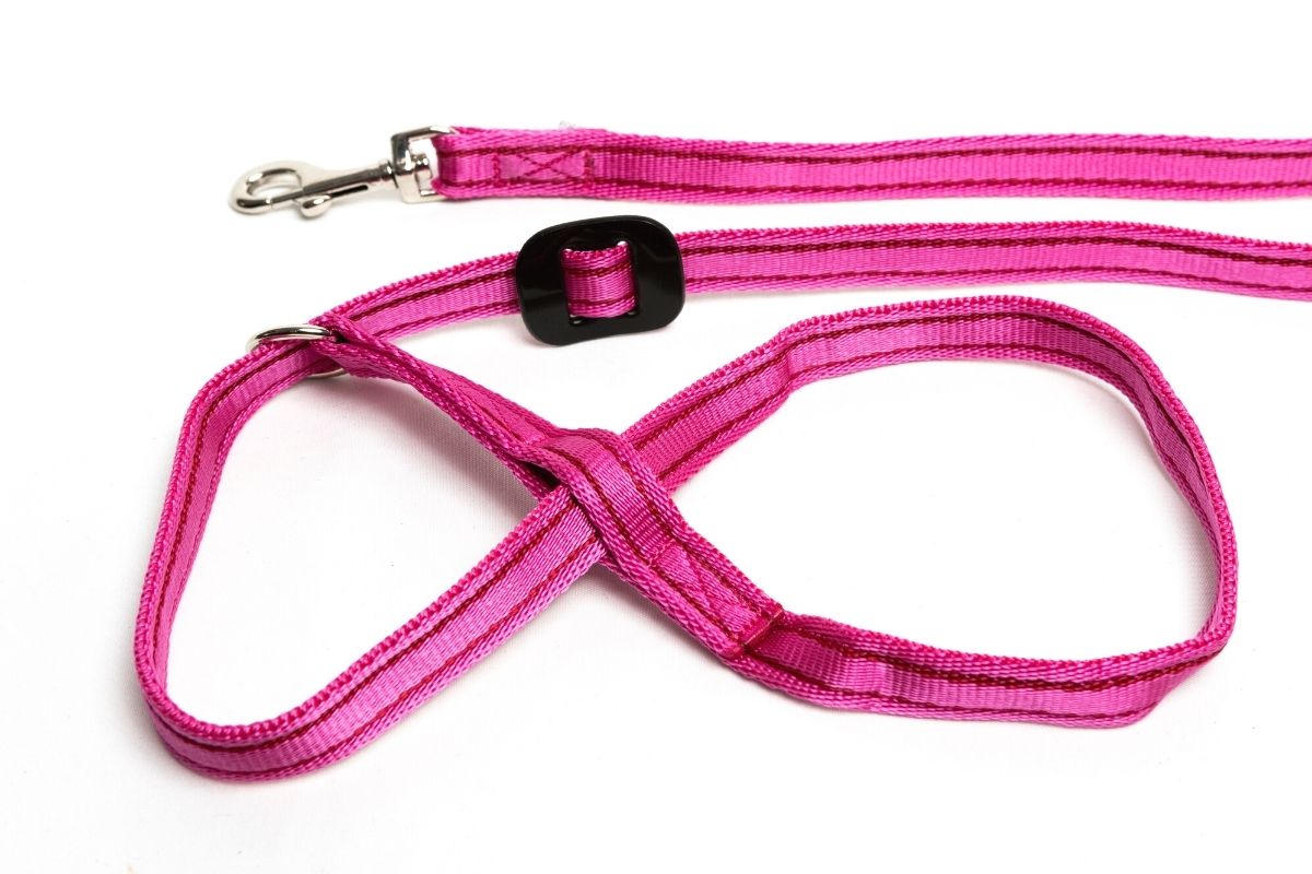 Gencon | Dog Training | All In One No Pull Walking Headcollar & Lead - Pink & Burgundy