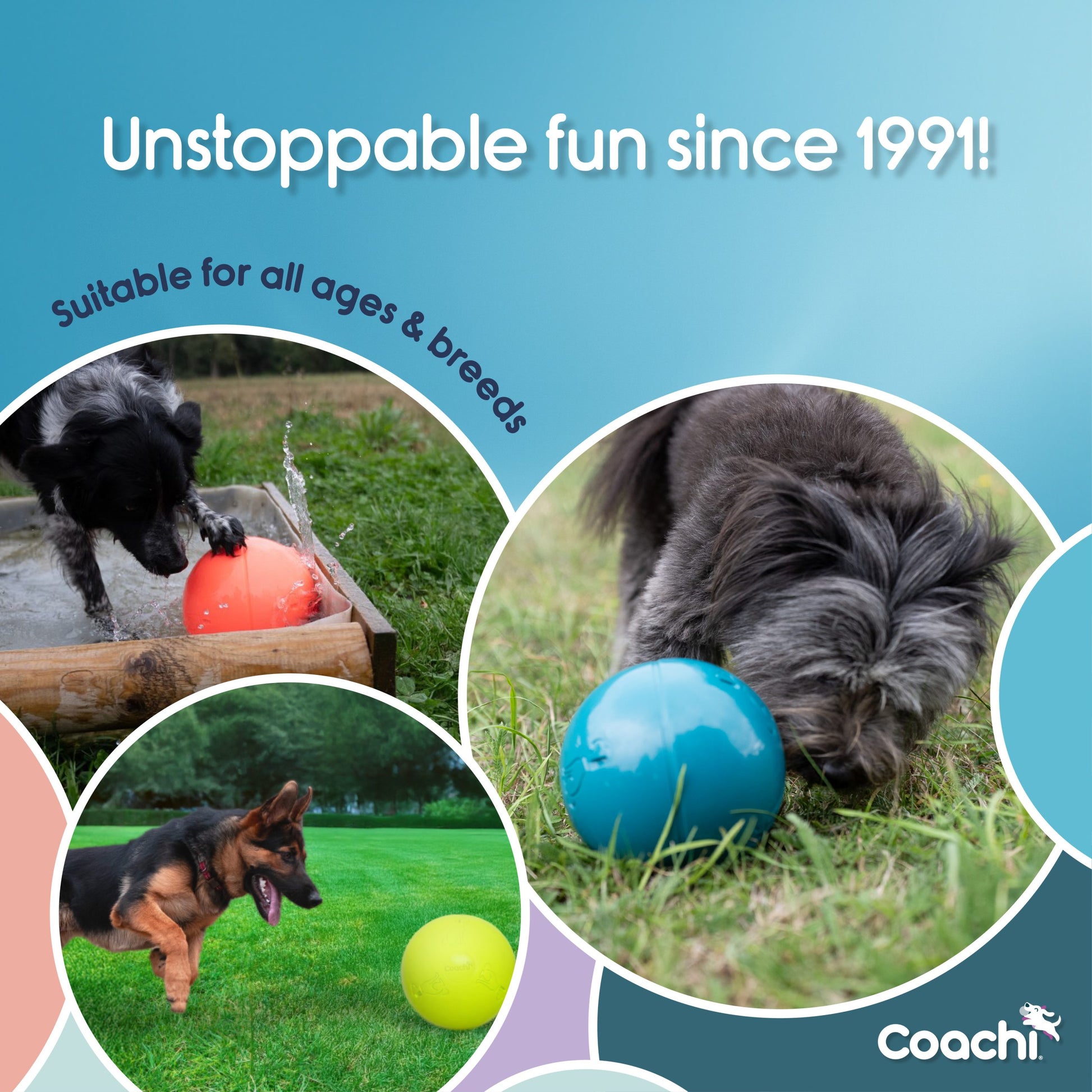 Promotional image for a dog product with text 'Unstoppable fun since 1991!' and images of dogs playing with colorful balls.