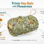 Trixie | Small Pet Forage Treat Hay Bale | With Flowermix | 200g