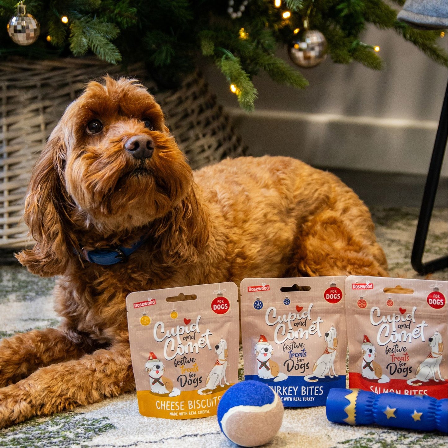 Cupid & Comet Dog Christmas Dinner Stocking – Festive Gift with 3 Treats & 2 Toys