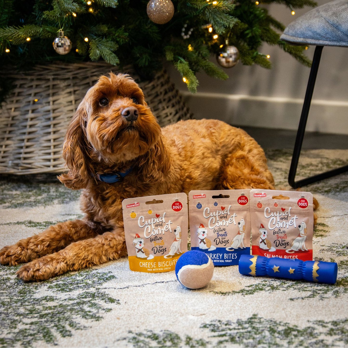 Cupid & Comet Dog Christmas Dinner Stocking – Festive Gift with 3 Treats & 2 Toys