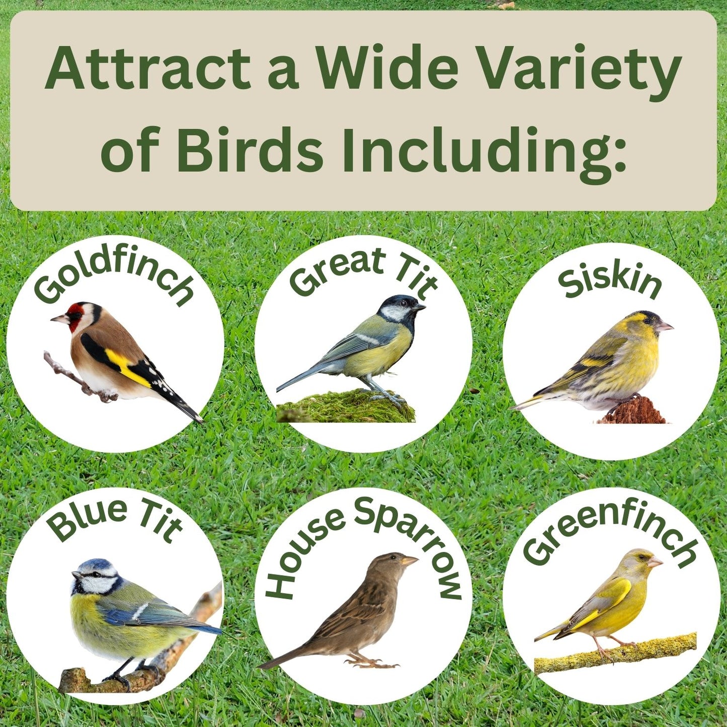 Gardman Wild Bird Seed Mix – High-Energy Garden Bird Food  1.6kg, 4kg & 12.75kg