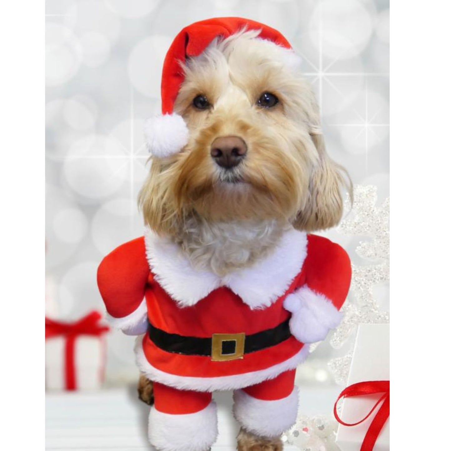 Santa Claus Dog Costume – Wagging Arms & Hat | Medium Size