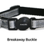 Cat collar with reflectivesurface and a breakaway buckle on a white background