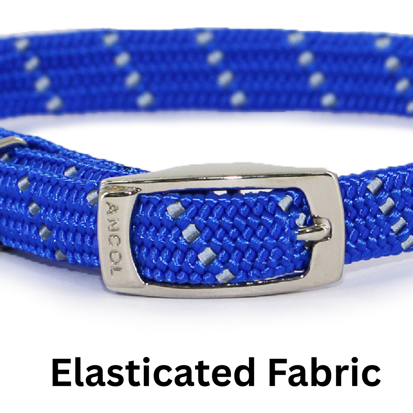 Blue cat collar with silver buckle on a white background