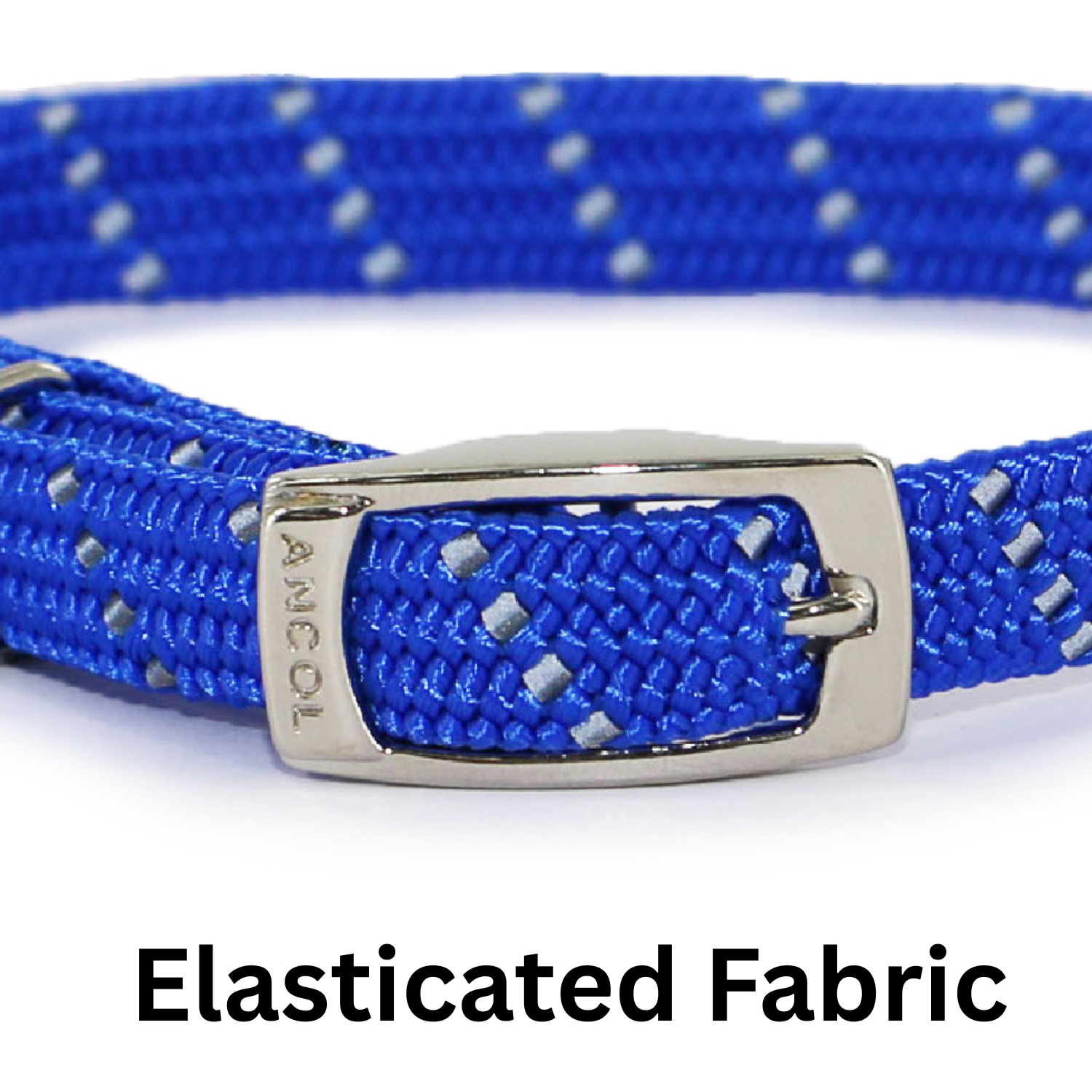 Blue cat collar with silver buckle on a white background