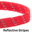 Red cat collar with reflective stripes on a white background