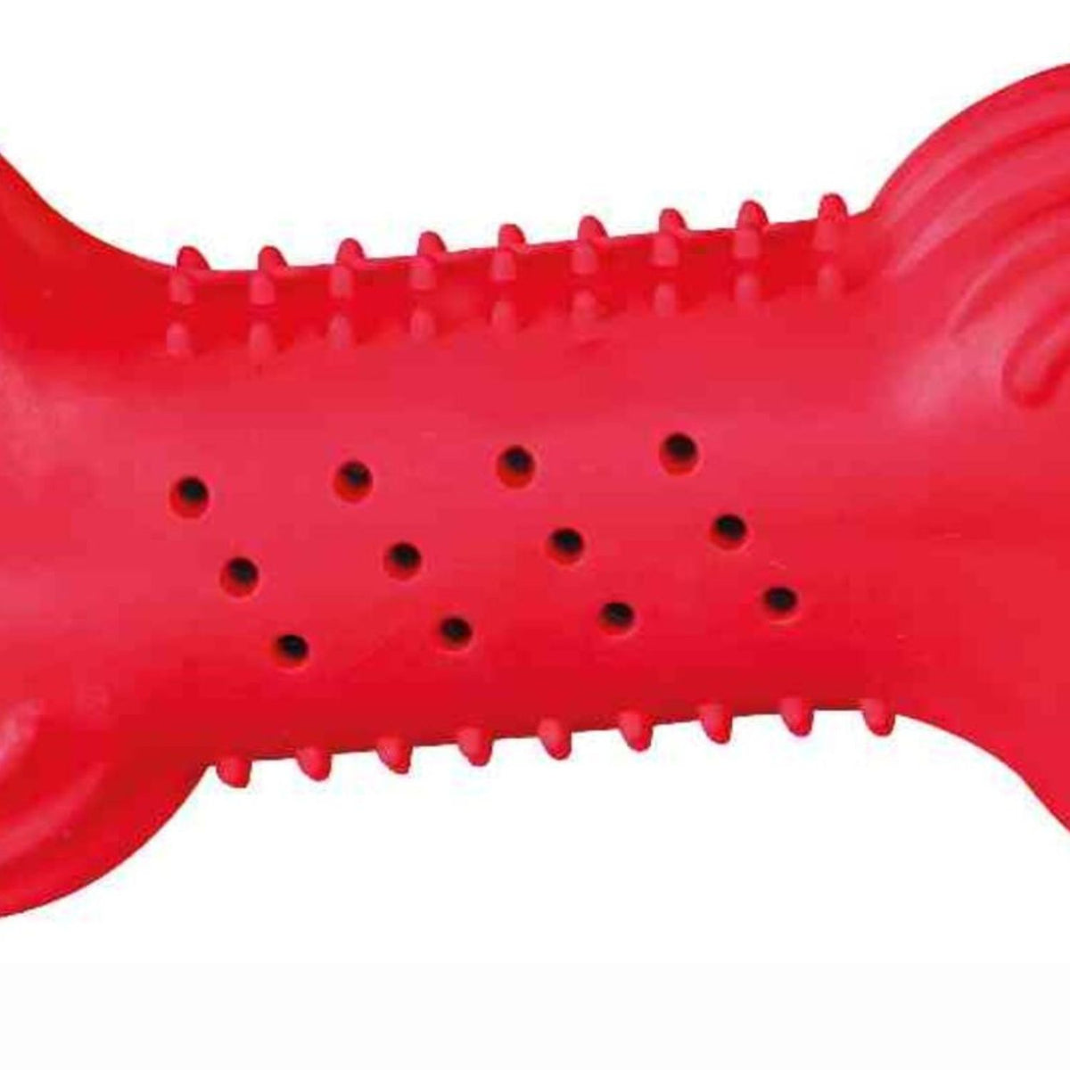 Trixie Cooling Bone | Natural Rubber Dog Toy