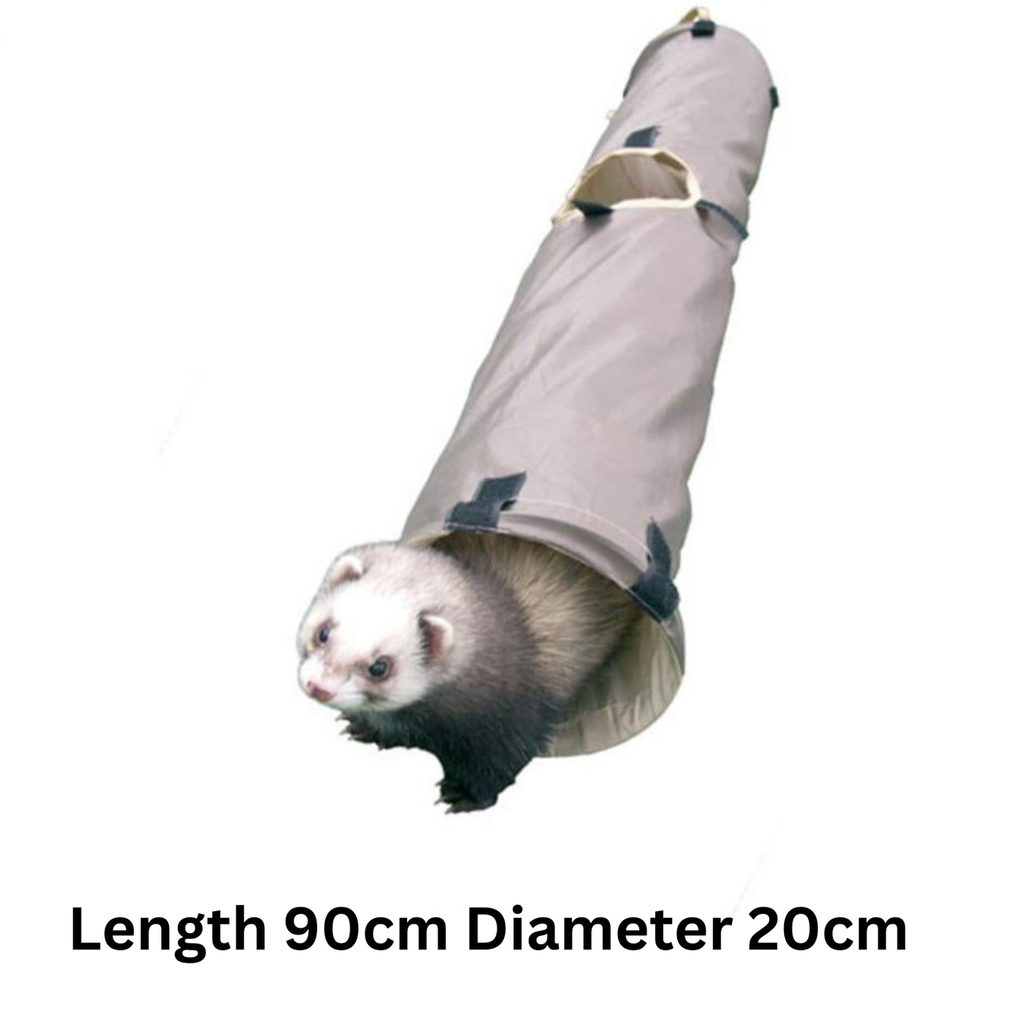 Ferret inside a cylindrical tunnel with dimensions labeled on a white background