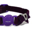 Purple cat collar with a heart-shaped buckle on a white background