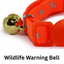 Orange cat collar with a gold bell on a white background