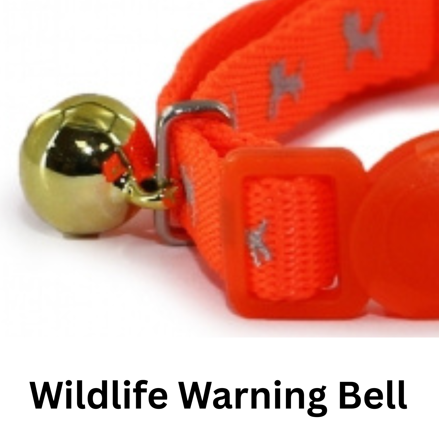 Orange cat collar with a gold bell on a white background