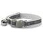 Gray cat collar with a silver bell on a white background