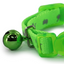 Green cat collar and bell
