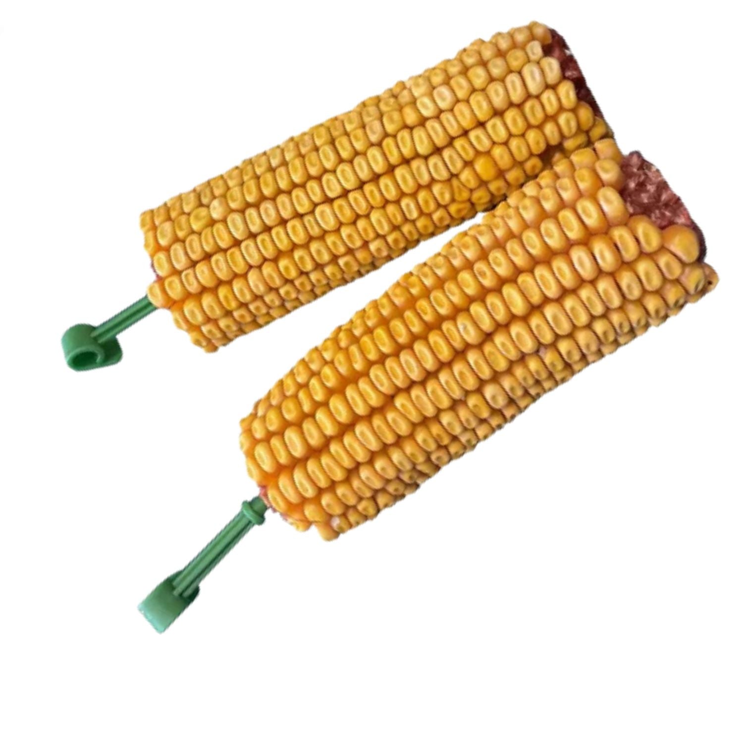 Two corn small animal treats with green handles on a white background