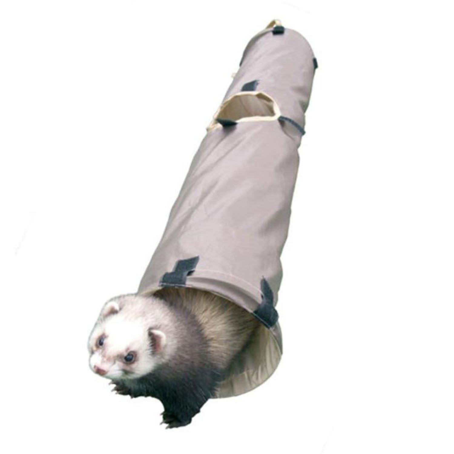 Ferret inside a beige tunnel on a white background
