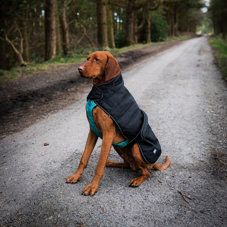 Black Dog Coat for Use with Harness by Danish Design
