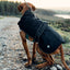 Black Dog Coat for Use with Harness by Danish Design