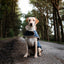 Navy Quilted Dog Coat by Danish Design