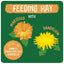 Burgess Excel | Small Pet Forage | Timothy Hay with Dandelion & Marigold - 1kg