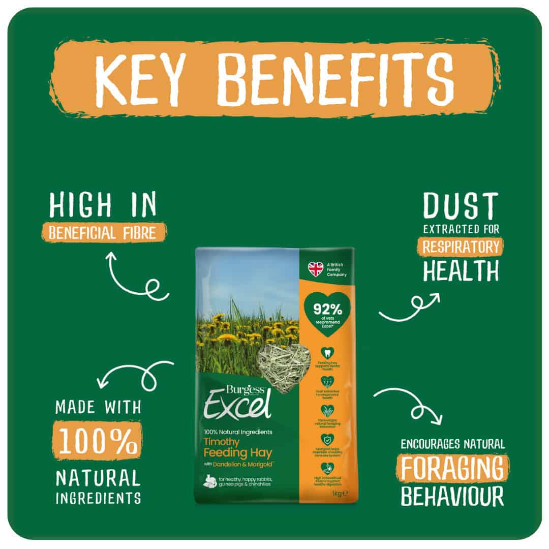 Burgess Excel | Small Pet Forage | Timothy Hay with Dandelion & Marigold - 1kg