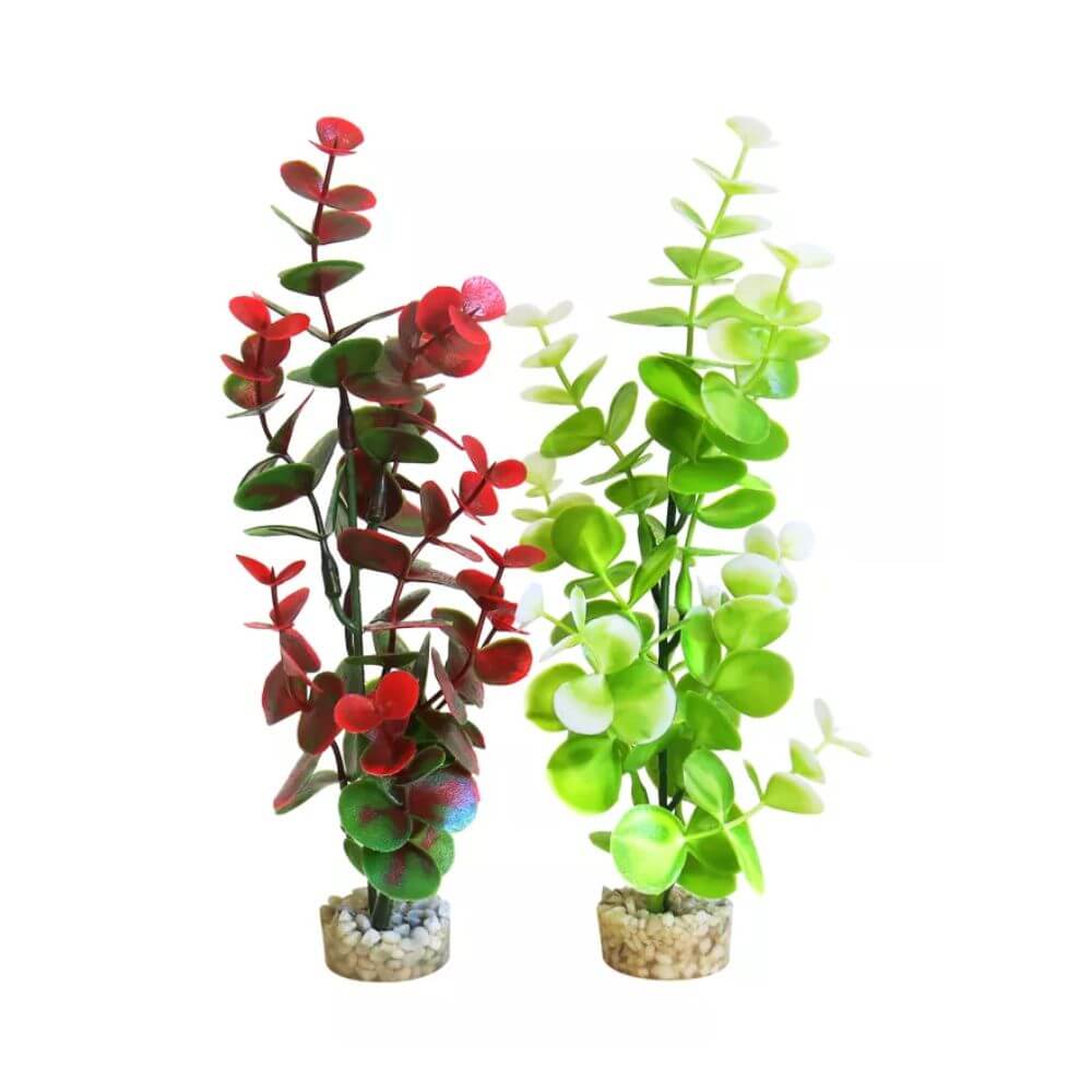Sydeco Water Eucalyptus 22cm