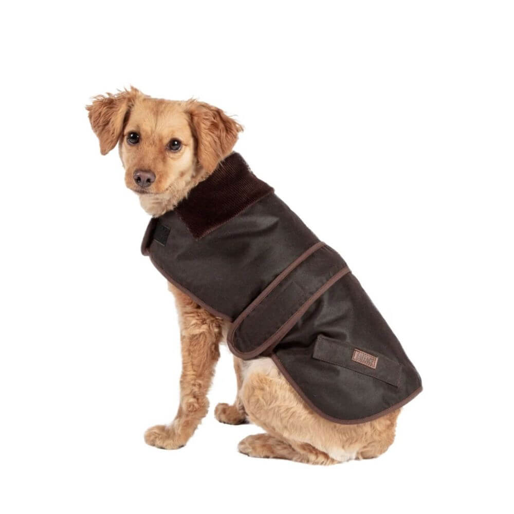 Fatface Sussex Wax Dog Coat 40cm/16"