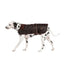 Fatface Sussex Wax Dog Coat 40cm/16"