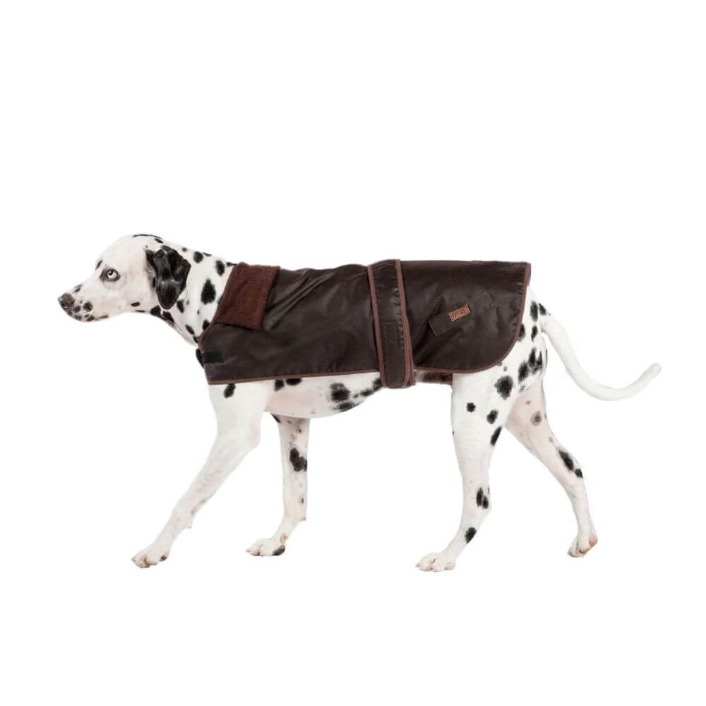 Fatface Sussex Wax Dog Coat 40cm/16"