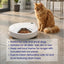 Closer Pets C500 Automatic Five Meal Feeder
