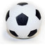 Floating Sports Ball | Dog Toy Assorted Colours