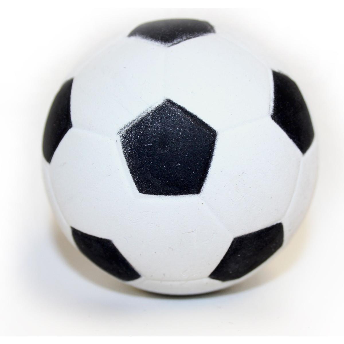 Floating Sports Ball | Dog Toy Assorted Colours